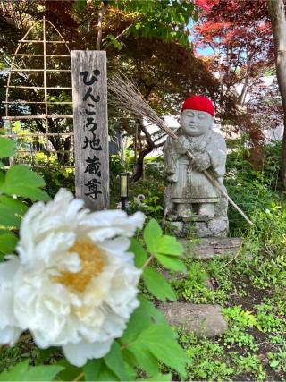 金色山吉祥院大悲願寺の参拝記録(せーこさん)
