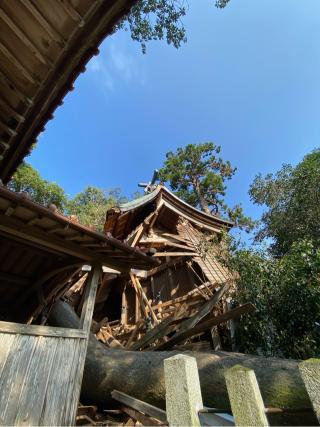 雉琴神社の参拝記録(みほさん)