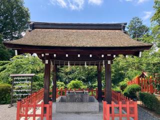 船岡妙見社(建勲神社境内社)の参拝記録(恭子さん)