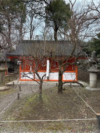 四社(北野天満宮末社)の参拝記録(⛩️🎠🐢まめ🐢🎠⛩️さん)