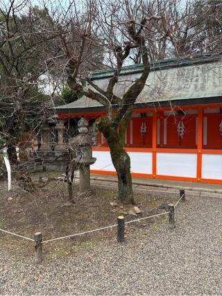 八社(北野天満宮末社)の参拝記録(⛩️🎠🐢まめ🐢🎠⛩️さん)