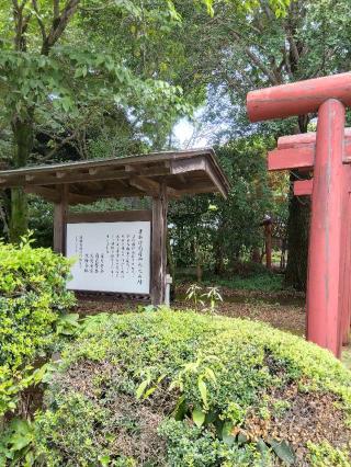 唐加坊稲荷神社の参拝記録(ブッチャーさん)