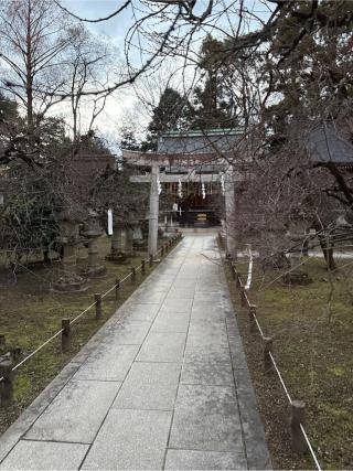 一之保神社、奇御魂神社(北野天満宮末社)の参拝記録(⛩️🐍🐢まめ🐢🐍⛩️さん)