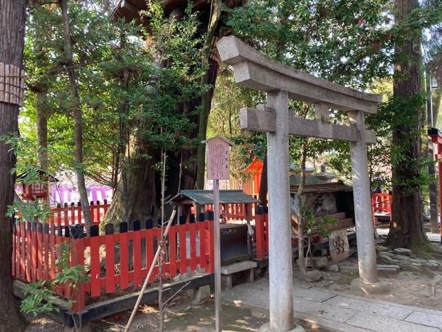 大杉社(北野天満宮境内社)の参拝記録6