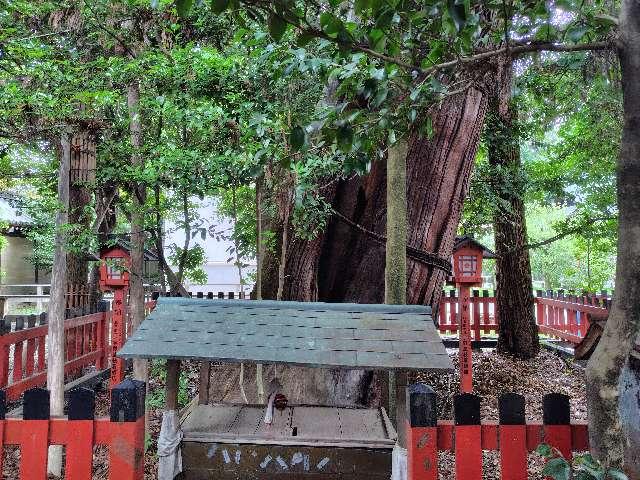 大杉社(北野天満宮境内社)の参拝記録5