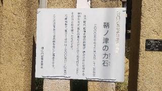 住吉神社の参拝記録( いなりんさん)