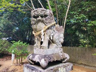三谷八幡宮の参拝記録(飛成さん)