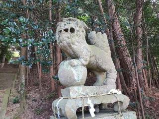 天尾神社の参拝記録(飛成さん)