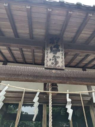 於姿宮神社の参拝記録(こまいぬおさん)