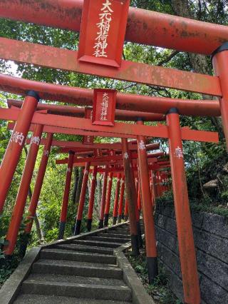 大元稲荷神社の参拝記録(こまいぬおさん)