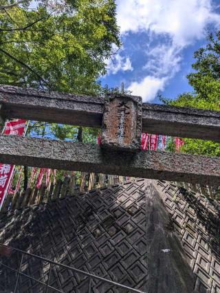 最上稲荷大明神の参拝記録(こまいぬおさん)