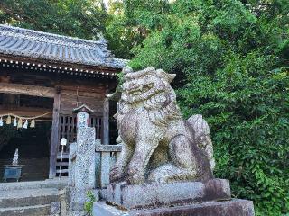 浪打八幡宮の参拝記録(飛成さん)