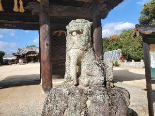 亀山八幡宮の参拝記録(飛成さん)