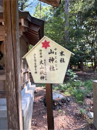 山神社(大麻比古神社末社)の参拝記録(⛩️🎠🐢まめ🐢🎠⛩️さん)