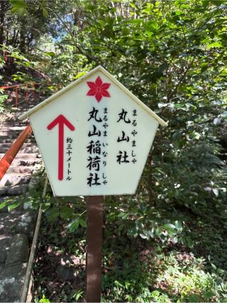 丸山稲荷社(大麻比古神社末社)の参拝記録(⛩️🎠🐢まめ🐢🎠⛩️さん)