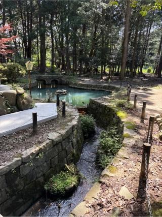 水神社(大麻比古神社末社)の参拝記録(⛩️🎠🐢まめ🐢🎠⛩️さん)