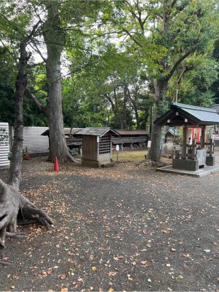 石室神社・石神明神（平塚神社境内社）の参拝記録(⛩️🐍🐢まめ🐢🐍⛩️さん)