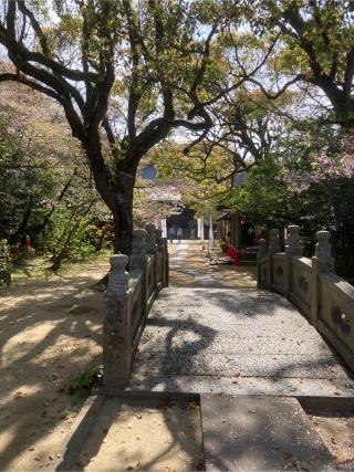 海岸寺 奥の院大師堂の参拝記録(カズさん)