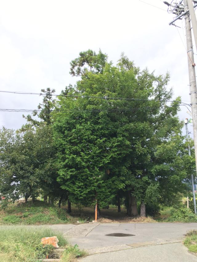 田中宮神社の参拝記録2