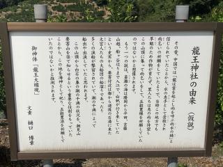 竜王神社の参拝記録(カズさん)
