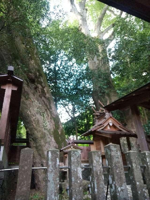 奈良県宇陀郡曽爾村大字小長尾532 天神社 (曽爾村小長尾)の写真2