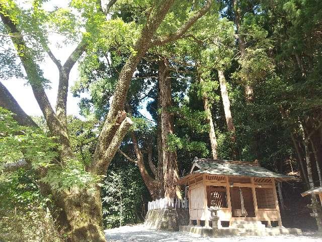 奈良県宇陀郡曽爾村大字太良路198 神明神社 (曽爾村太良路)の写真3