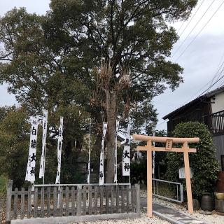 白龍神社の参拝記録(ワヲンさん)