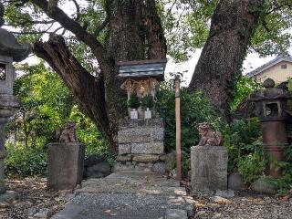 白龍神社の参拝記録(愛しい風さん)