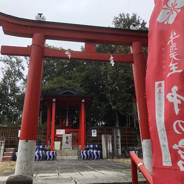 中の宮（大善院境内社）の参拝記録6