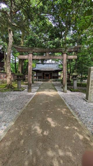 金谷神社（尾山神社摂社）の参拝記録(たこやきさん)