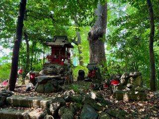 高木神社(水稲荷神社境内社)の参拝記録(prescillaさん)