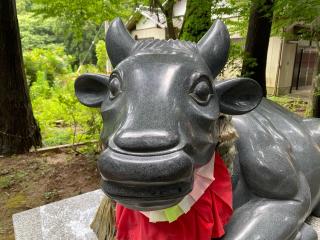 朝日森天神社の参拝記録(明介さん)