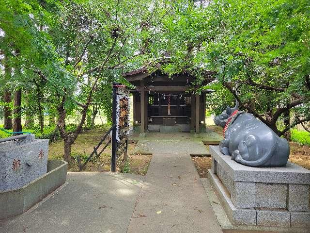 千葉県香取市多田2440 朝日森天神社の写真7