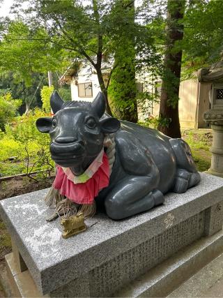 朝日森天神社の参拝記録(ねこチャリさん)