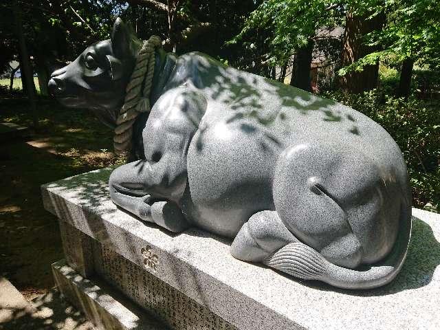 朝日森天神社の参拝記録9