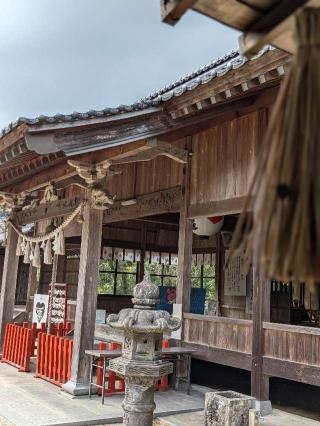 大分八幡神社の参拝記録(こまいぬおさん)