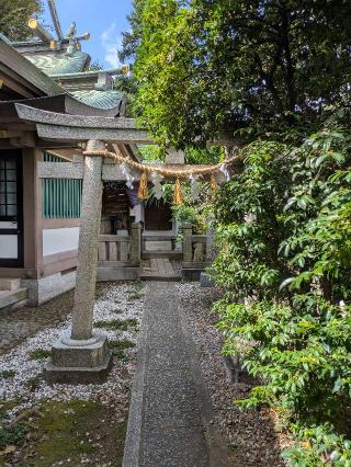 三杉稲荷神社(雑司ヶ谷大鳥神社境内社)の参拝記録(はくすみさん)