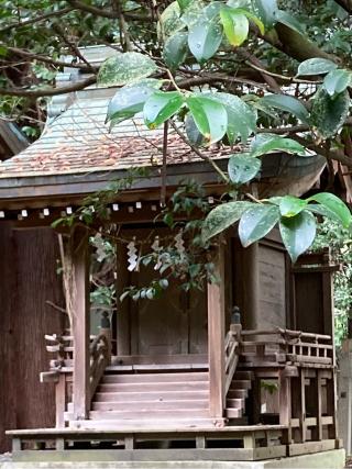 三宮社（砥鹿神社境内社）の参拝記録(恭子さん)