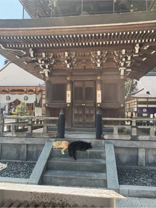 妙厳寺 豊川稲荷 総門の参拝記録(古チャンさん)