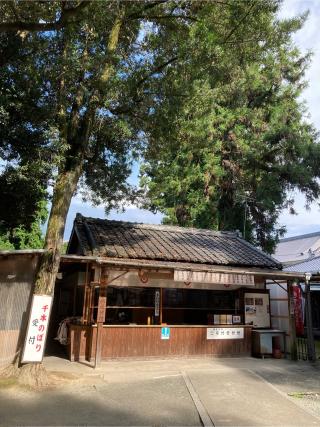 妙厳寺 豊川稲荷 千本幟の参拝記録(恭子さん)
