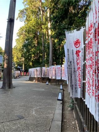 妙厳寺 豊川稲荷 千本幟の参拝記録(恭子さん)