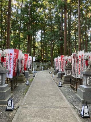 妙厳寺 豊川稲荷 千本幟の参拝記録(恭子さん)