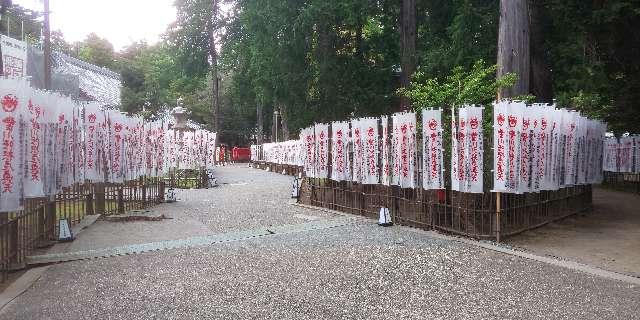 妙厳寺 豊川稲荷 千本幟の参拝記録6