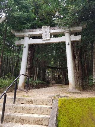 宮山八幡神社の参拝記録(さすらいきゃんぱさん)