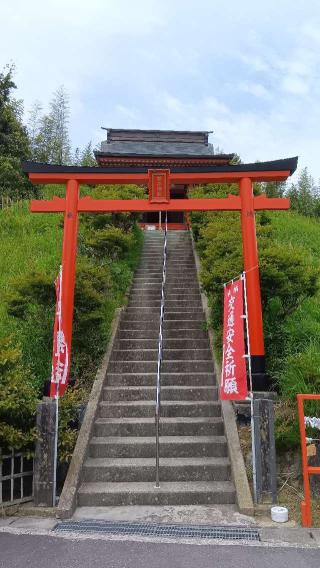 琴平神社の参拝記録(ひろ神社仏閣さん)