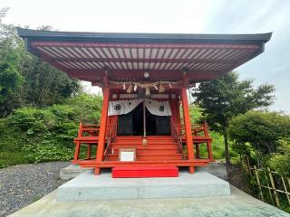 琴平神社の参拝記録(ユータさん)