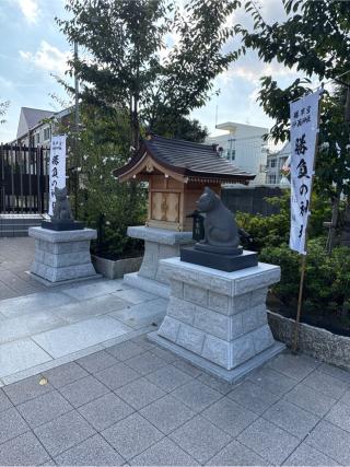 道灌霊社(駒込妙義神社境内社)の参拝記録(⛩️🐍🐢まめ🐢🐍⛩️さん)