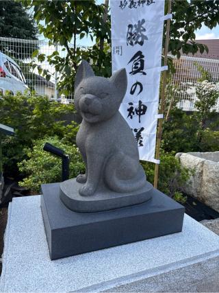 道灌霊社(駒込妙義神社境内社)の参拝記録(⛩️🐍🐢まめ🐢🐍⛩️さん)