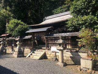 厳嶋神社の参拝記録(深奥(シンオウ)さん)