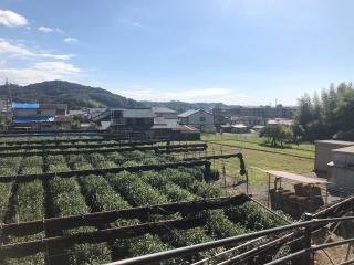 厳嶋神社の参拝記録(深奥(シンオウ)さん)